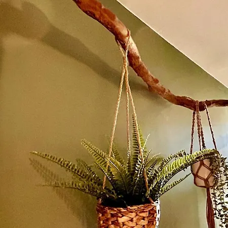 Διαμέρισμα Wilson 7